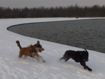 Pontus & Bruno