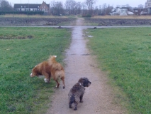 Guusje & Sydney